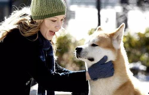 娱乐吃瓜酱忠犬琪哥